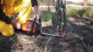 Best Lot and Land Clearing  in Monte Alto, TX