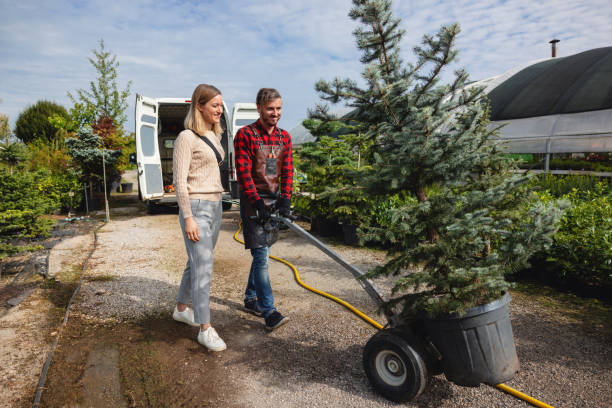 Best Stump Grinding and Removal  in Monte Alto, TX